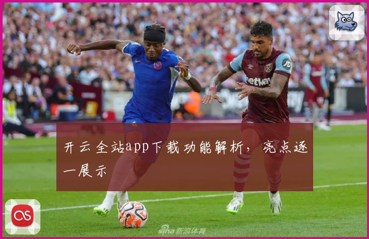 开云全站app下载功能解析，亮点逐一展示