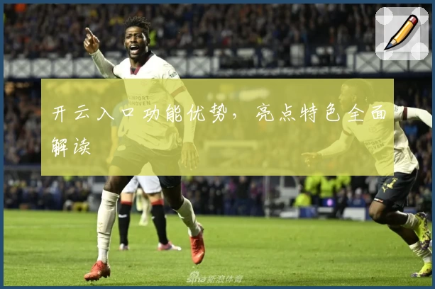 开云入口功能优势，亮点特色全面解读