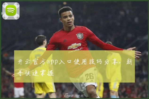 开云官方app入口使用技巧分享，新手快速掌握