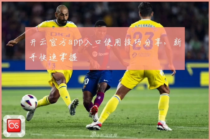 开云官方app入口使用技巧分享，新手快速掌握